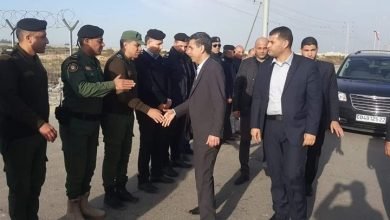 تشمل