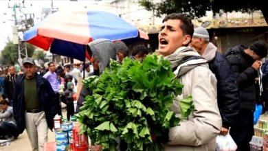 النباتات