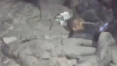 مجزرة إسرائيلية جديدة بحق مدنيين فلسطينيين تجمعوا في غزة للحصول على إمدادات إنسانية