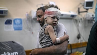 حرب الإبادة