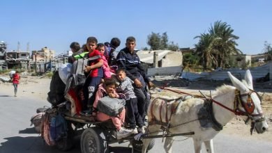 الأمم المتحدة: حرب غزة قد تعيد التنمية الفلسطينية إلى ما كانت عليه في الخمسينيات
