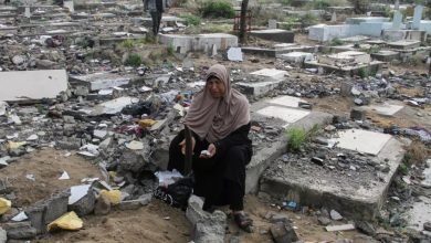 انتهاك القبور وسرقة الجثث