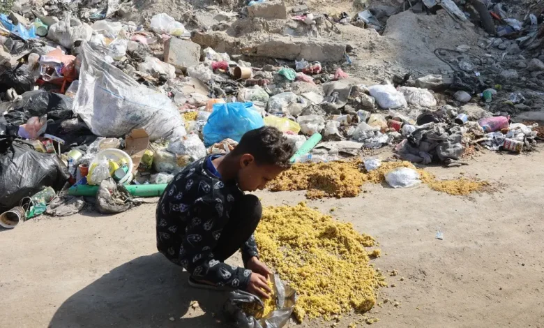 المجاعة في غزة