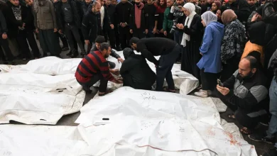 الحرب على غزة