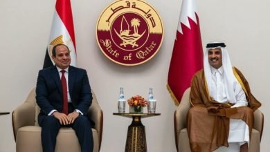 الرئيس المصري عبدالفتاح السيسي وأمير قطر الشيخ تميم