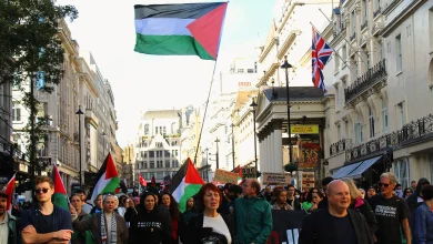 التضامن مع فلسطين