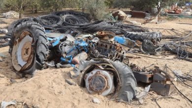 الأراضي الزراعية في قطاع غزة