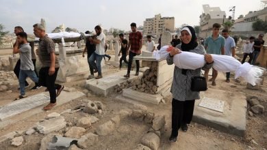 الإبادة الجماعية في غزة