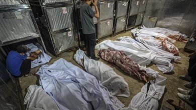 استهداف المساعدات الإنسانية في غزة