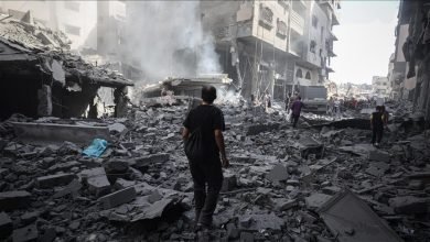 الإبادة الجماعية في غزة