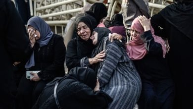 الإبادة الجماعية في غزة
