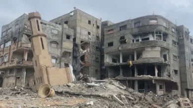 الإبادة الجماعية في غزة
