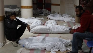 جثامين الشهداء في غزة