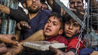 الإبادة الجماعية في غزة