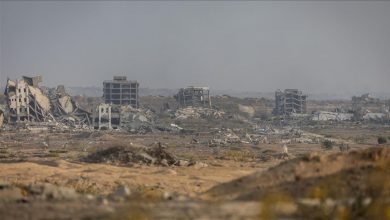 الإبادة الجماعية في غزة
