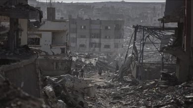 الإبادة الجماعية في غزة