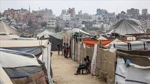 الإبادة الجماعية في غزة