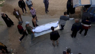 الإبادة الجماعية في غزة
