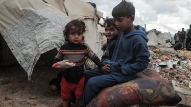الإبادة الجماعية في غزة