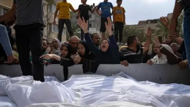 الإبادة الجماعية في غزة