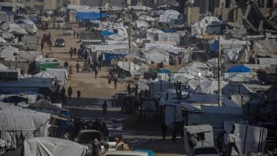 الإبادة الجماعية في غزة