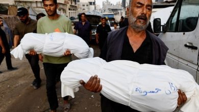 الإبادة الجماعية في غزة