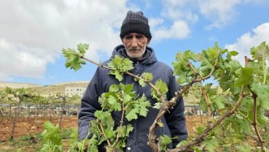 استيطان الضفة الغربية