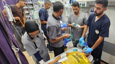 الإبادة الجماعية في غزة