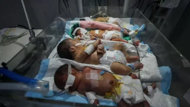 دلائل موثقة على توظيف إسرائيل لمنع الإنجاب أداةً في مسار الإبادة الجماعية في غزة