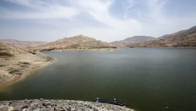 المياه كورقة